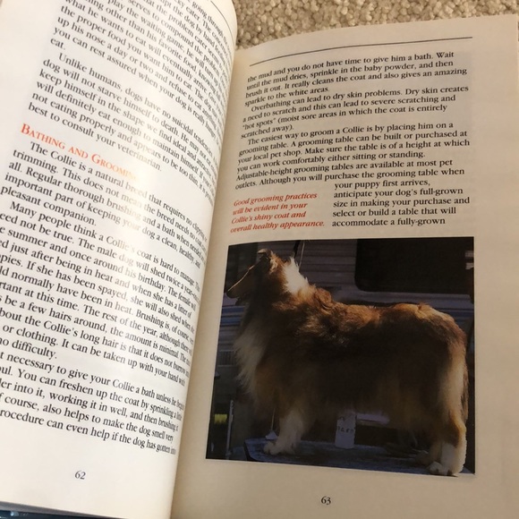 A New Owners Guide to Collies-an everything you need Collie dog book - Picture 6 of 10
